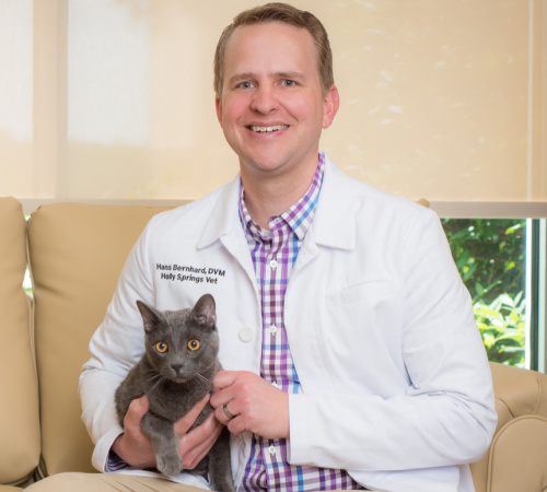 Meet Our Staff - Holly Springs Veterinary Hospital