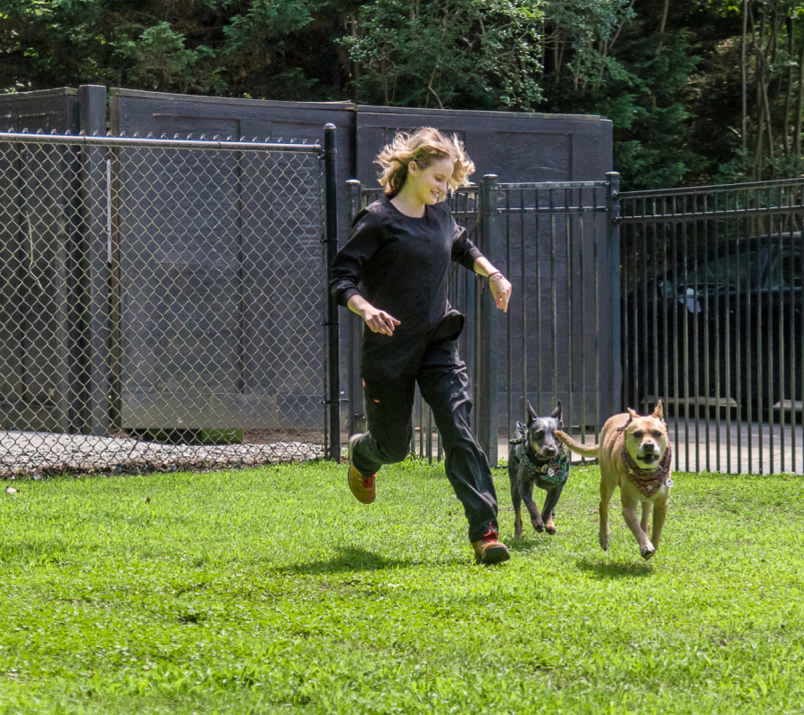 Running with dogs