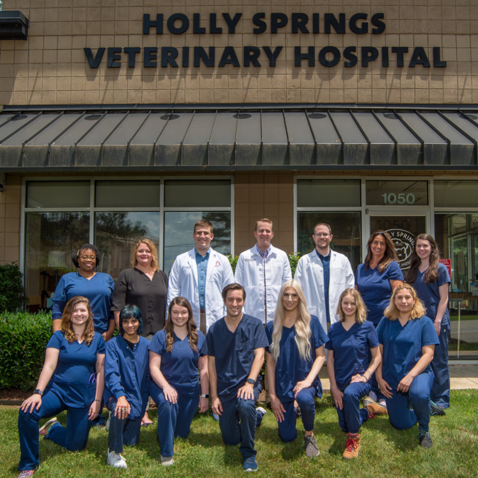 Who We Are Holly Springs Veterinary Hospital